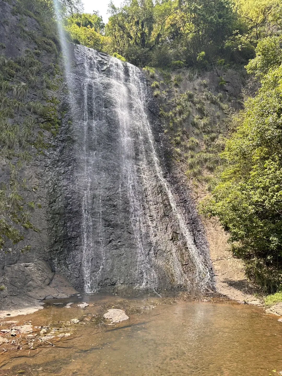 江浙沪五一反向旅游攻略,把野餐搬进绿野仙踪