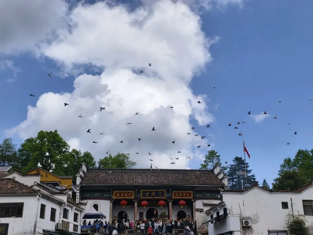 一场没有计划的旅行,却让我遇见了生命最好的安排