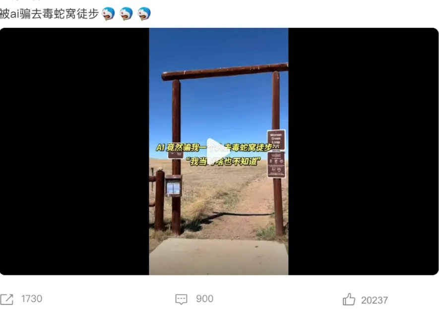 女生查旅游攻略却被AI带入剧毒蛇窝!现场视频遍地响尾蛇太骇人