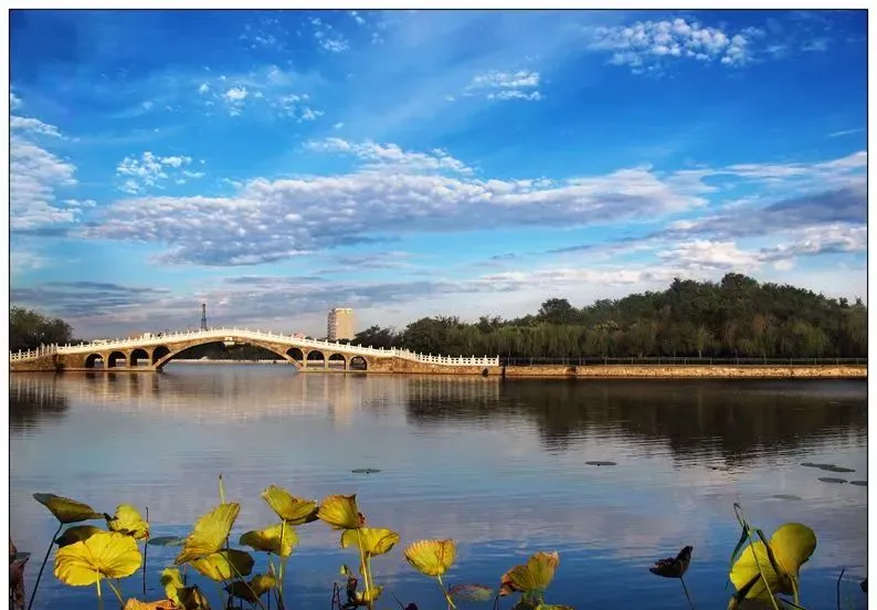 五一倒计时!你的沧州快乐旅行已上线!保姆级攻略,建议直接抄作业!