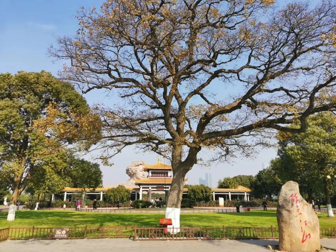 五一假期出行|长沙两天一夜游玩攻略get√