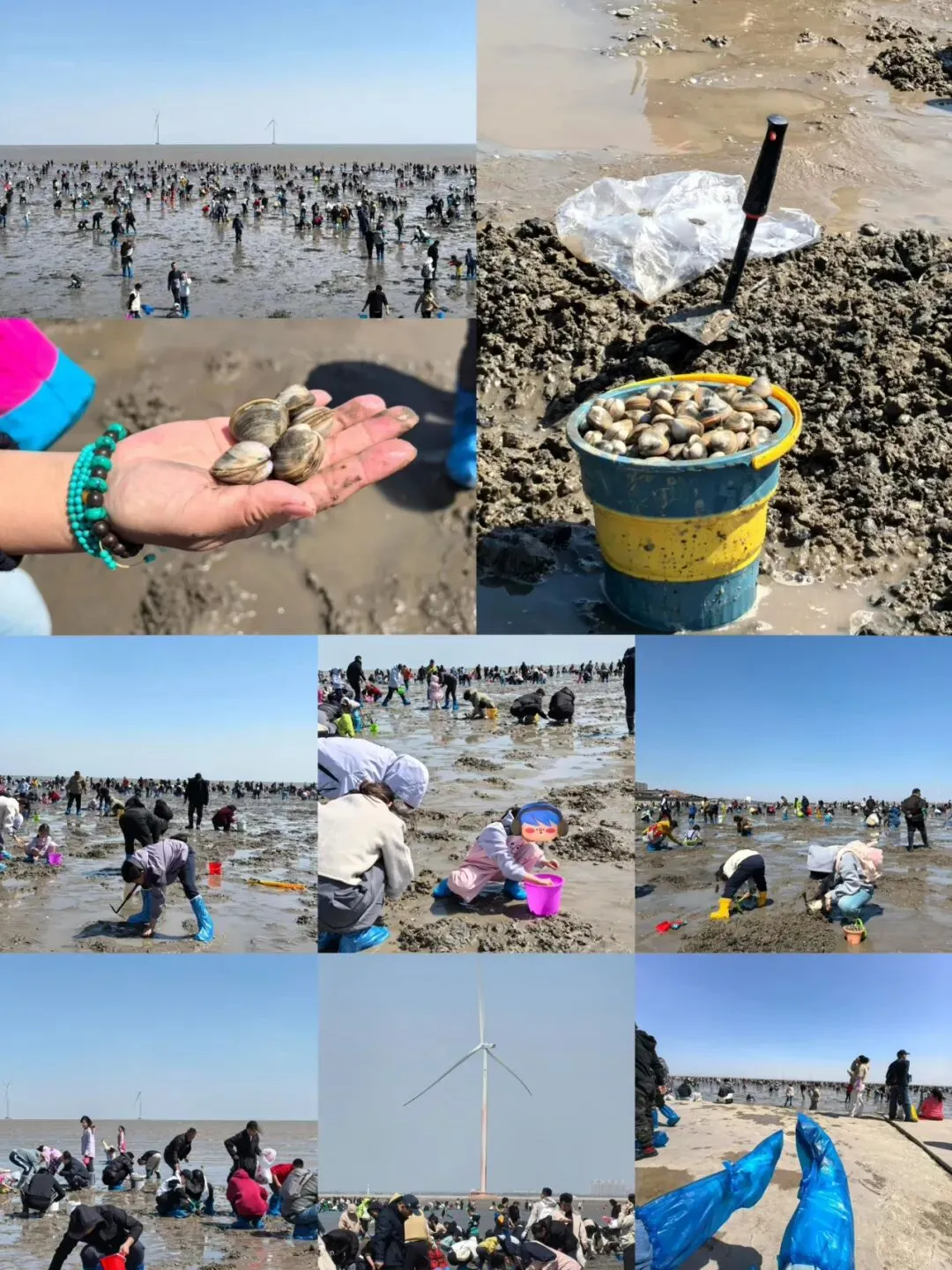 5.3日出游计划:固安亲子大巴游~赶海,抓蟹,拾贝 打卡天津海洋博物馆~当天往返 转发前私信要内容