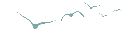 小坝镇第二届乡村文化旅游系列活动即将开启!快来查收这份攻略吧