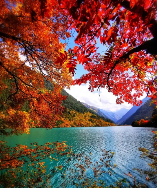 九寨沟游玩攻略,景区特色,旅游信息,游玩建议