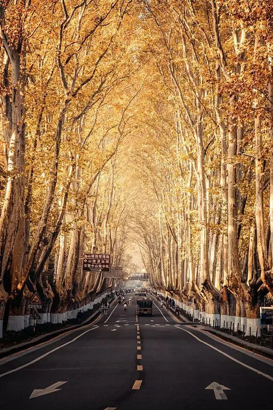 南京旅游攻略|赴一场金陵之约,沉浸式感受六朝烟火