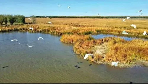 天津市旅游规划或将公布!宁河区或成爆发点,宝坻区将有望成最大赢家!