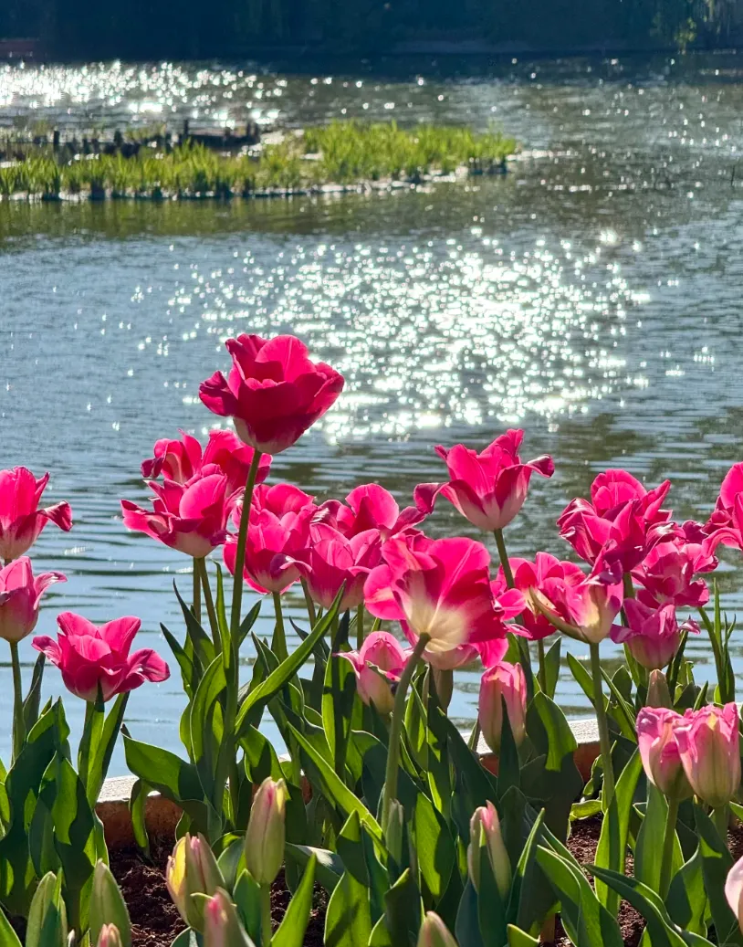 五一昆明旅行攻略|人少景美,超松弛旅行目的地推荐