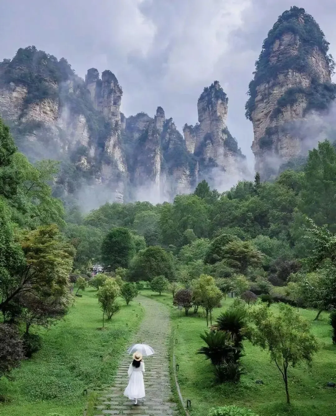 第一次去张家界怎么玩?这份避坑指南和行程规划请收好5天4晚 张家界 天门山 自由行