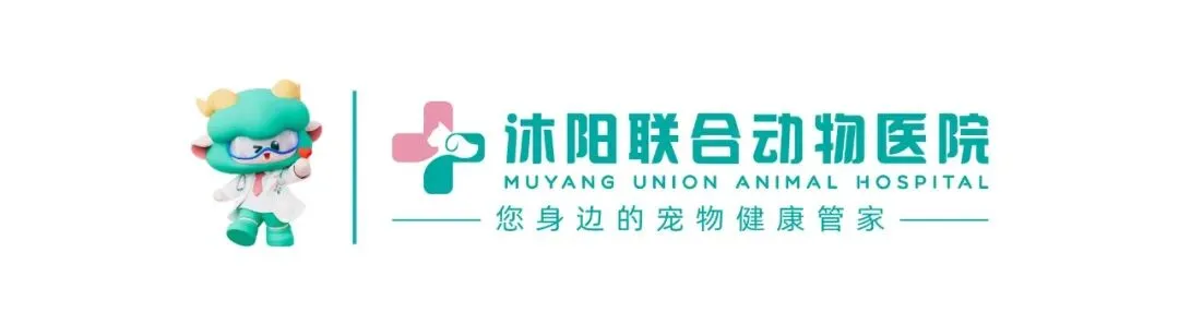 这个五一,一起去旅行吧! 携宠出行全指南(高铁篇),内含免费福利!