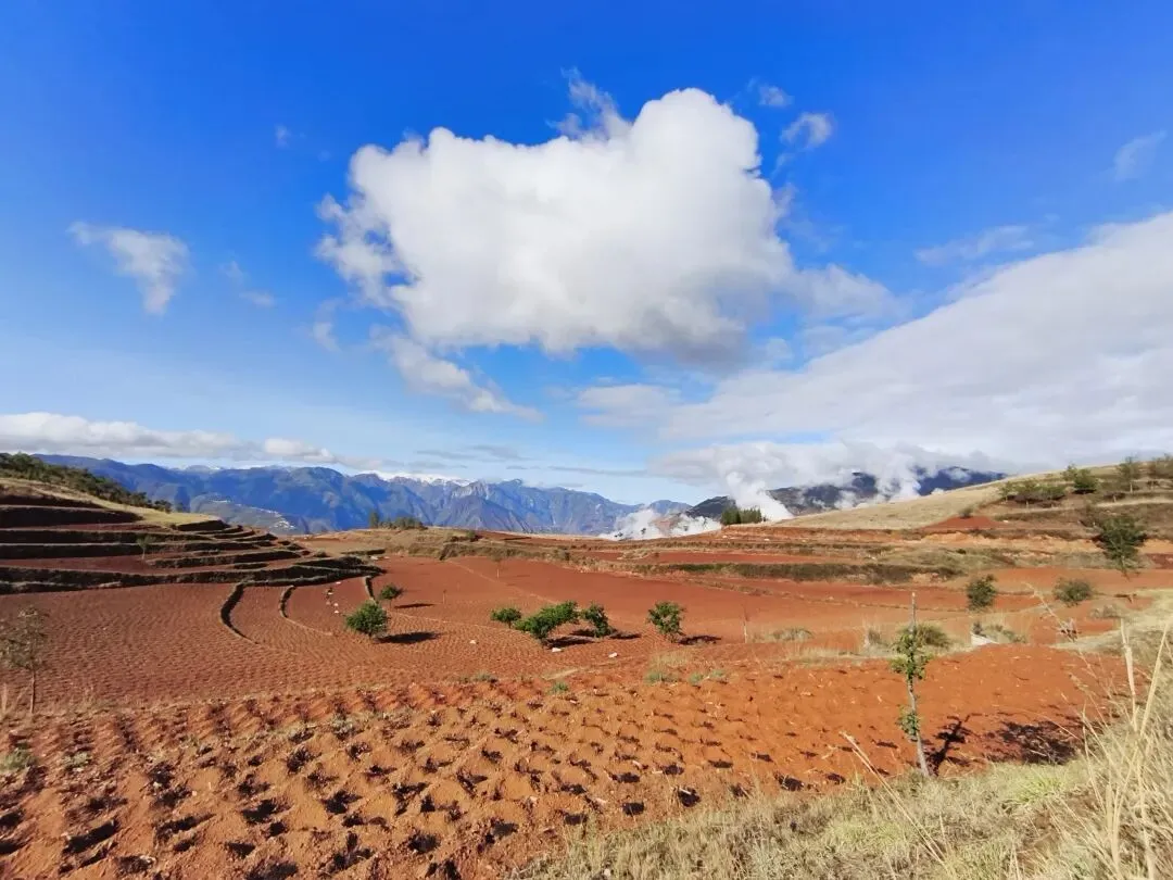 驻村日记之三十四:小陷塘小众旅游指南