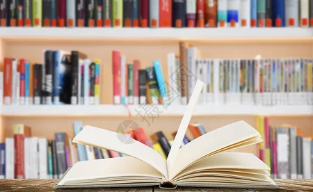 旅行中最难忘的,往往是那些计划之外的 “意外之喜”