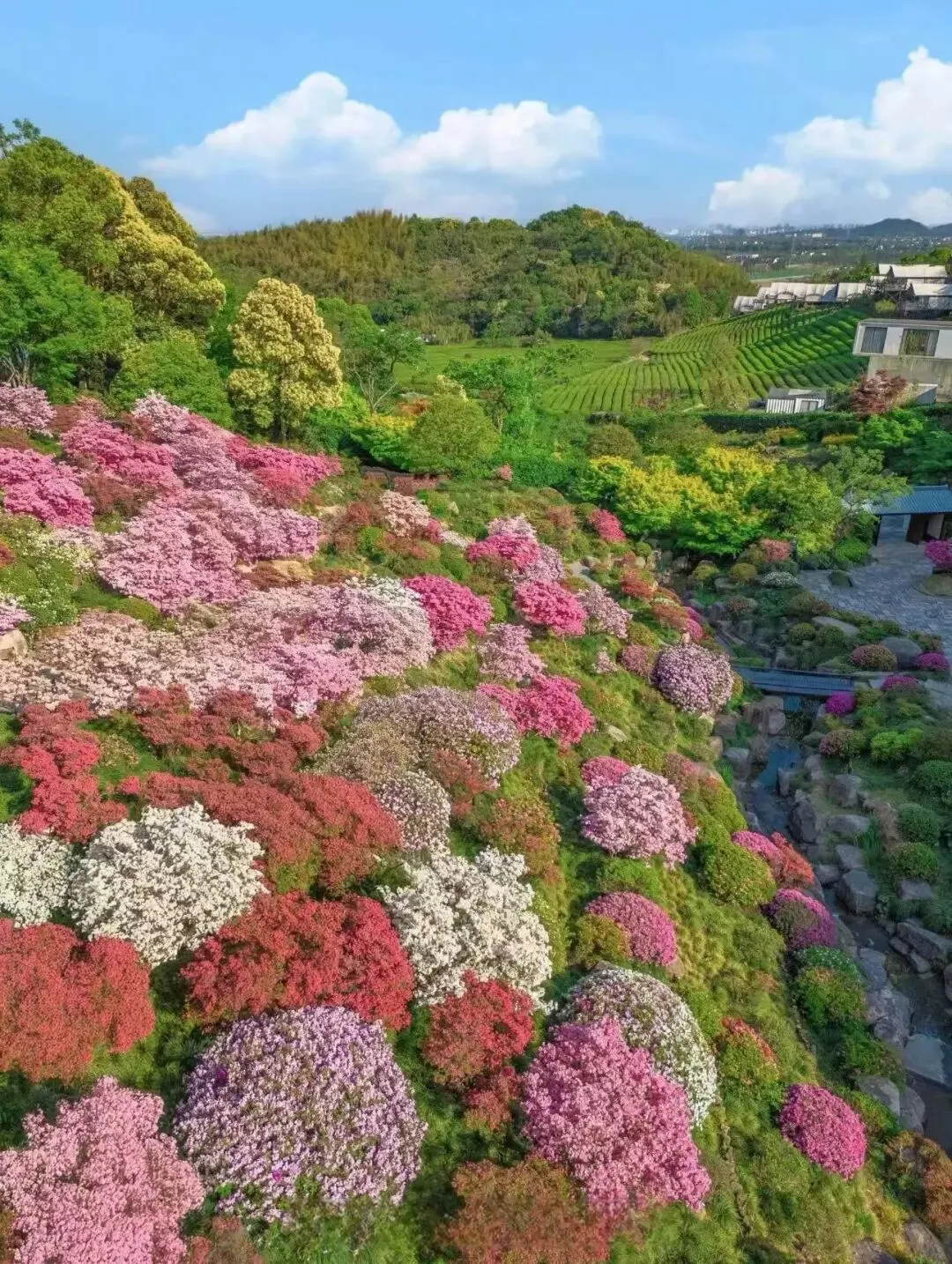 【旅行攻略】江浙沪 1.5h 直达,下渚湖满分亲子两日游,抄作业~