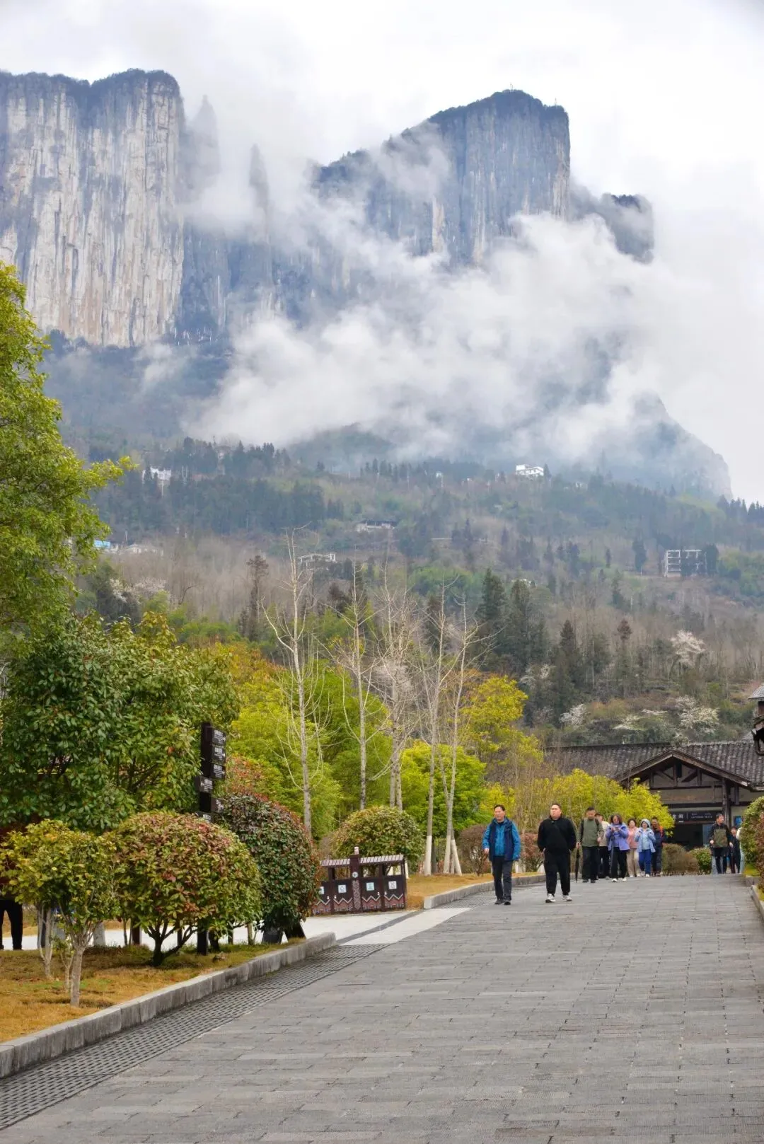 恩施大峡谷游玩攻略:半天时间打卡云龙地缝和七星寨,我只花了55元