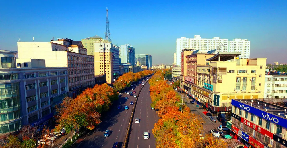 五一倒计时!你的伊宁快乐旅行已上线!保姆级攻略,建议直接抄作业!