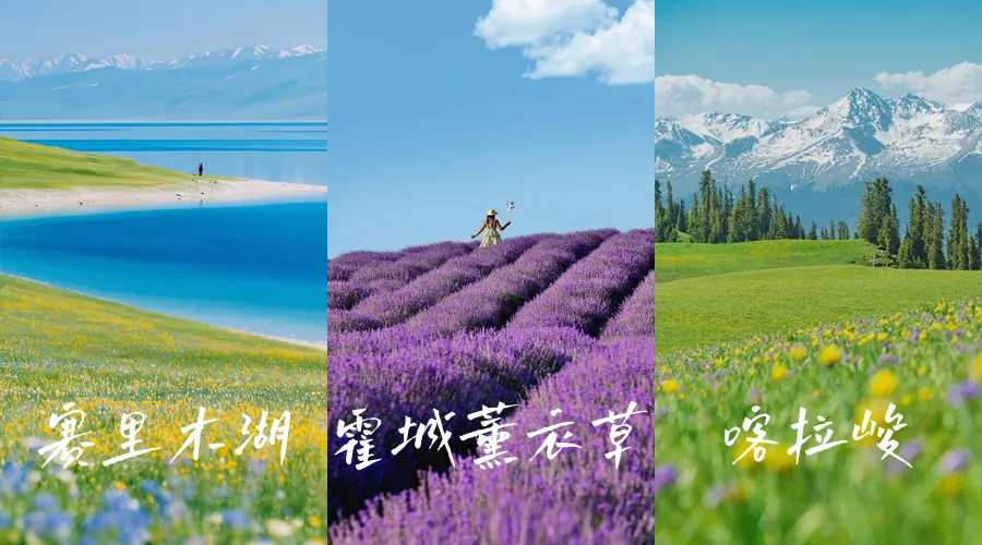 5-6月新疆旅行:错峰赏花+避峰攻略(人少景美)