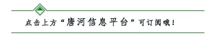 五一去哪儿?南阳唐河芍药赏花旅游季,吃喝玩乐全攻略,错过等一年