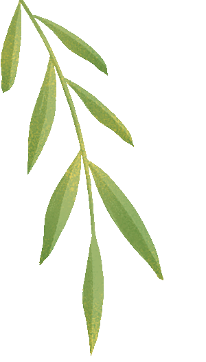 五一假期安全指南|快乐出游 安全先行