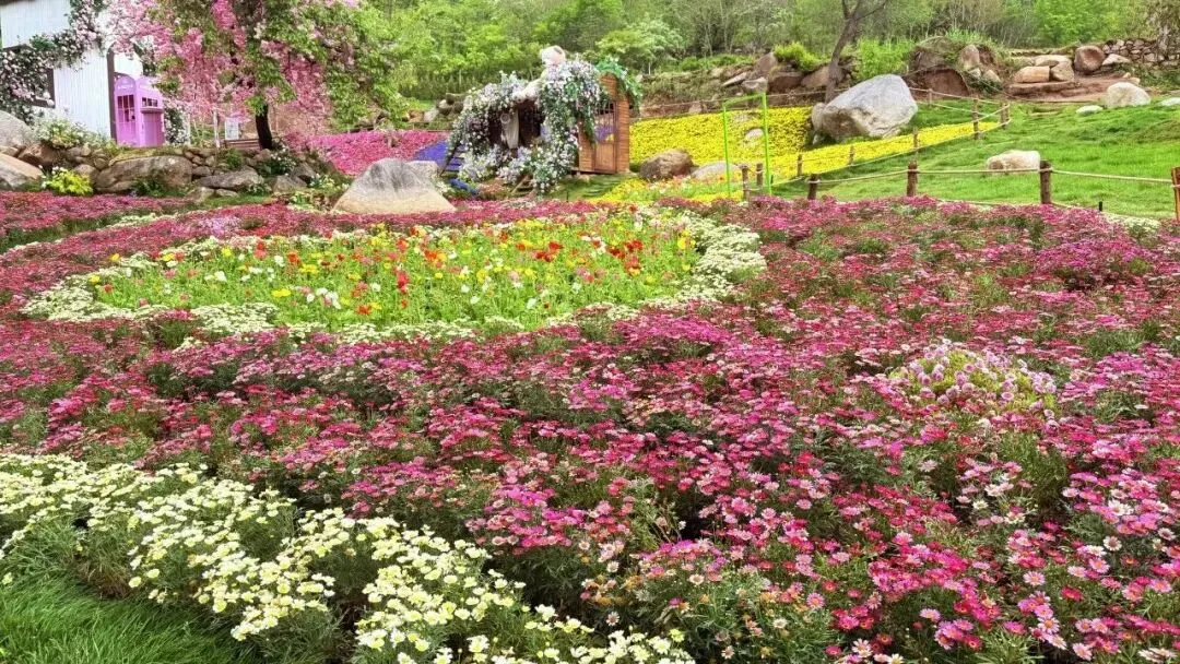 五一假期旅游教师省钱攻略!这些景点教师免票入园~