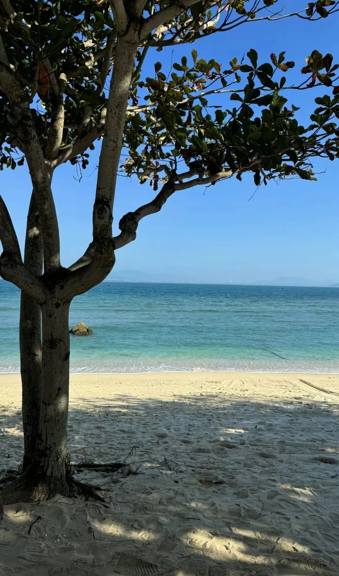 五一假期旅游攻略——三亚:海岛度假的慵懒时光