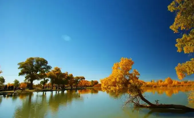 【阿拉善盟】值得一去的八大景点,内蒙古旅游攻略