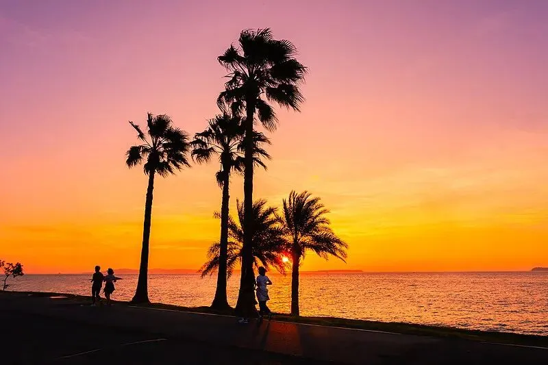 厦门旅游那些不为人知的套路,过来人的避坑指南