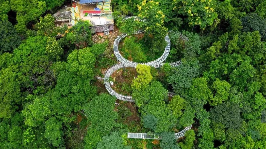 木兰云雾山五一出游指南|登山遛娃,山野趣味正当时!