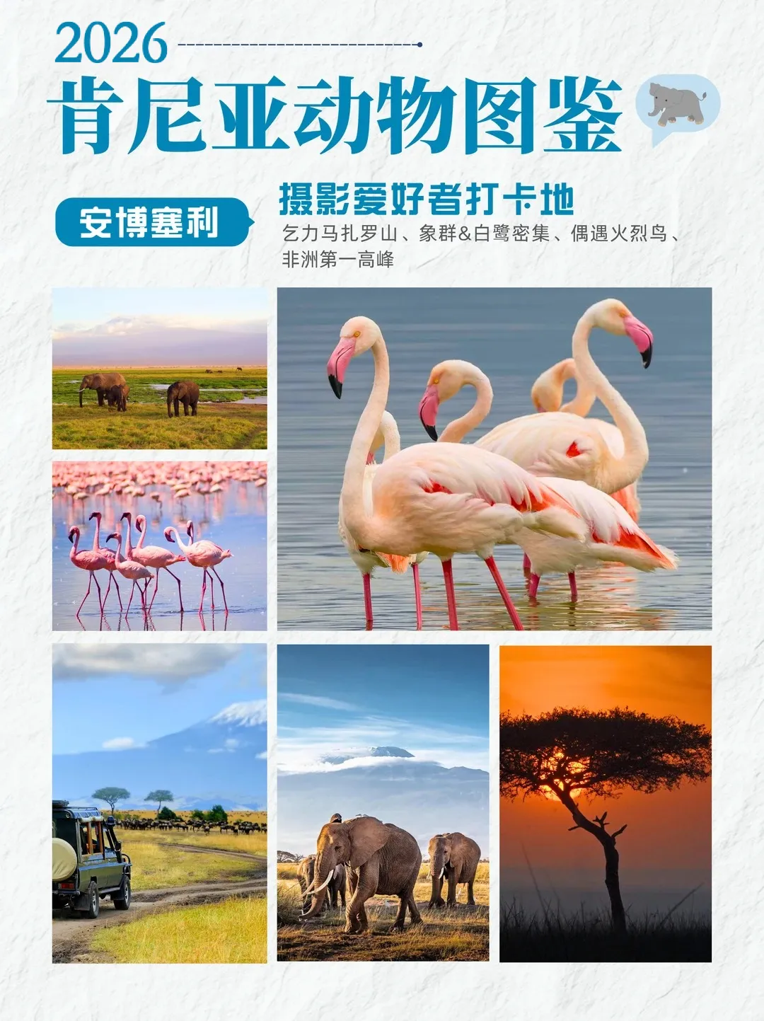 肯尼亚夏季旅行攻略| 旅行 + 接娃全覆盖