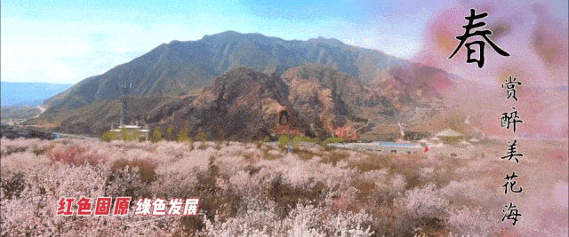 固原五一游玩攻略!五大主题线路一定要收藏!