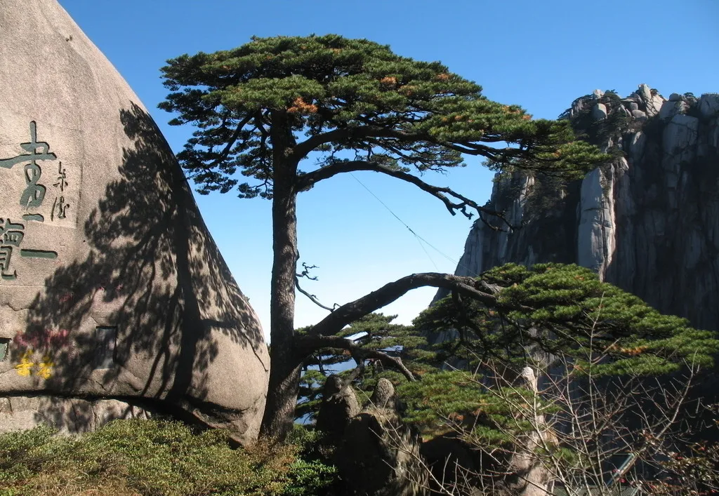 五一倒计时!你的黄山快乐旅行已上线!保姆级攻略,建议直接抄作业!