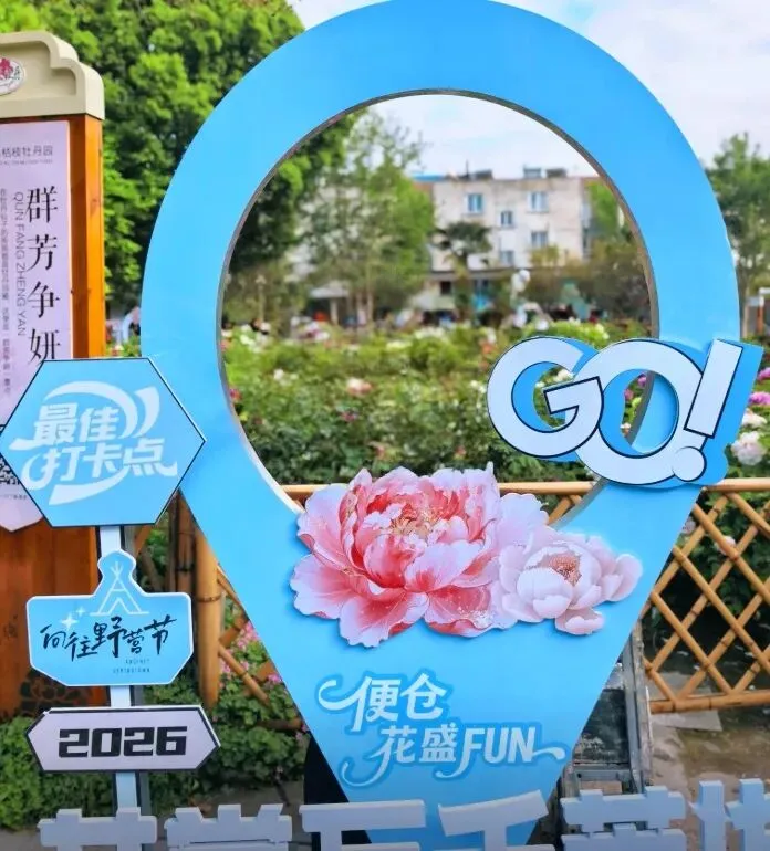 盐城亭湖乡村旅行攻略