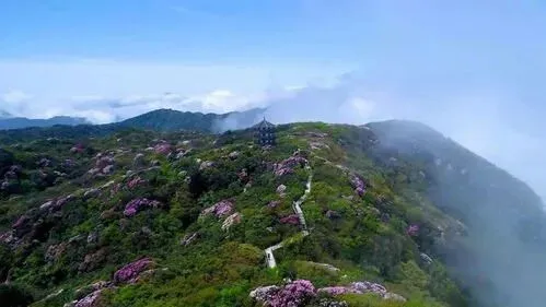 重庆旅游新规划即将揭晓南川区崛起奉节县或成最大受益者