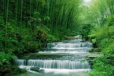 宜宾全域旅游攻略|赴万里长江第一城,醉享竹风酒香与古镇烟火