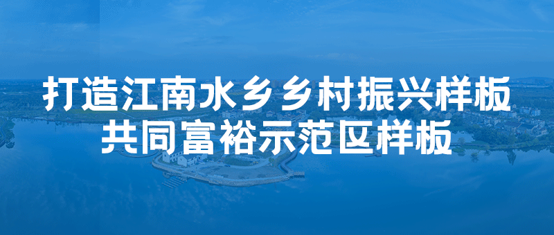 奔赴夏天!SBTI专属临平乡村游玩指南上线