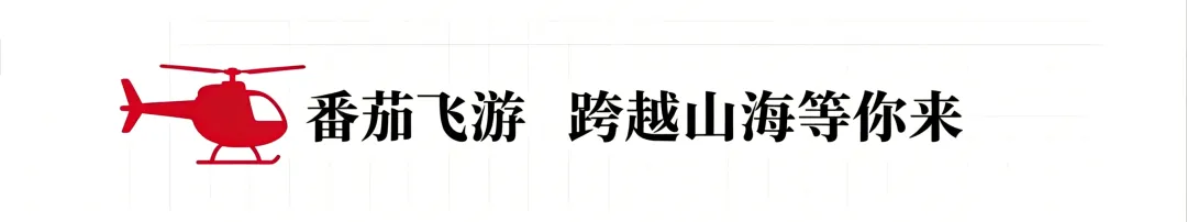 苍南渔寮全攻略:2026五一假期实测“跨越山海”低空旅游项目