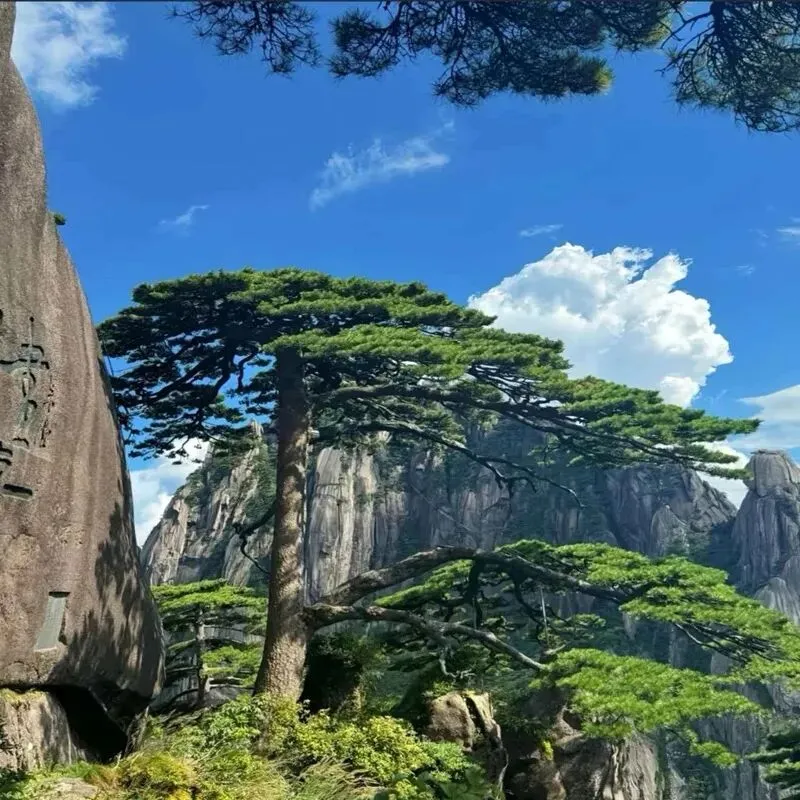 近期准备去黄山旅游五天四晚必玩景点推荐,黄山5日游经典路线,纯干货