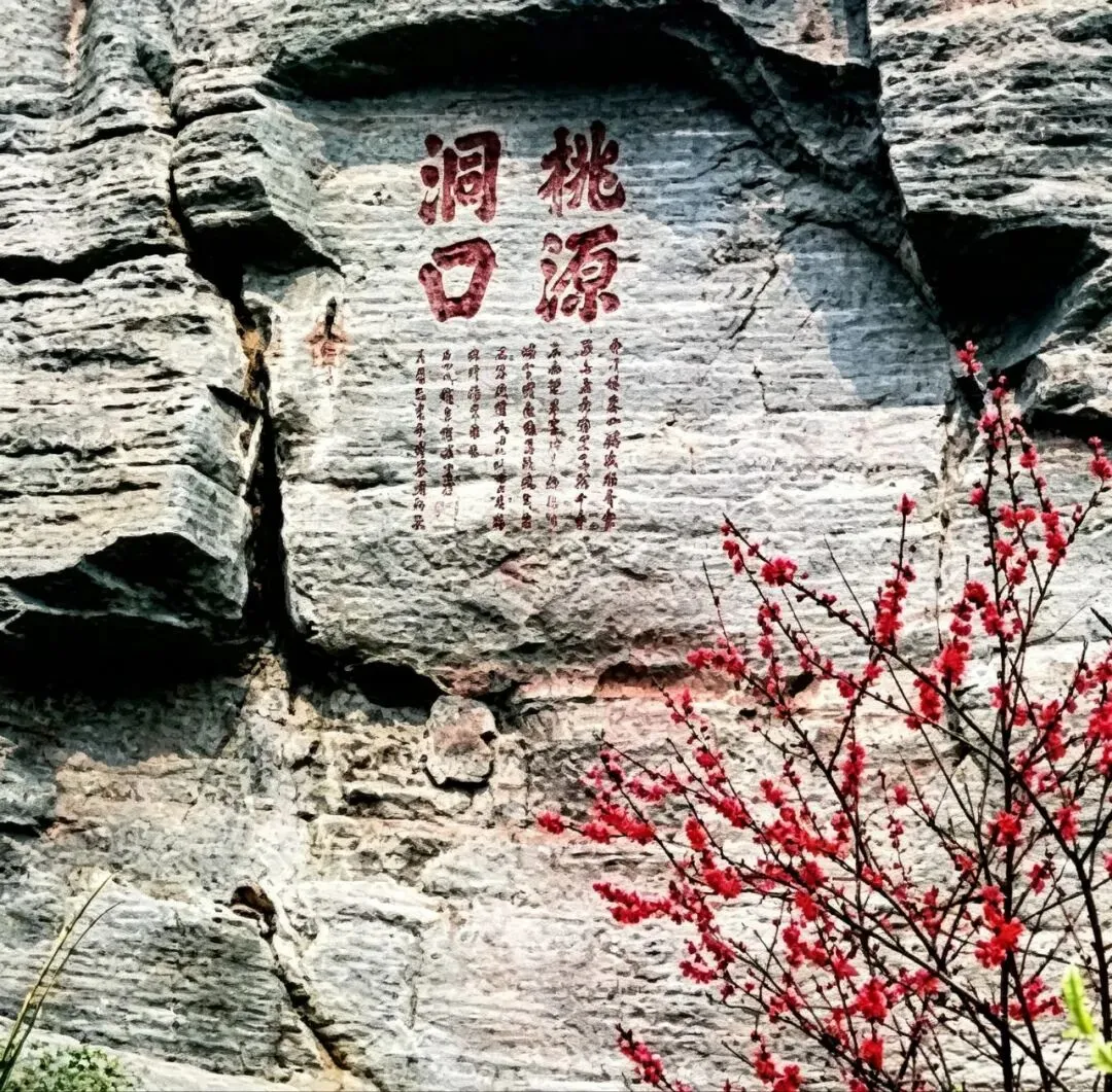 不用去武夷山!永安桃源洞一线天实景游玩攻略