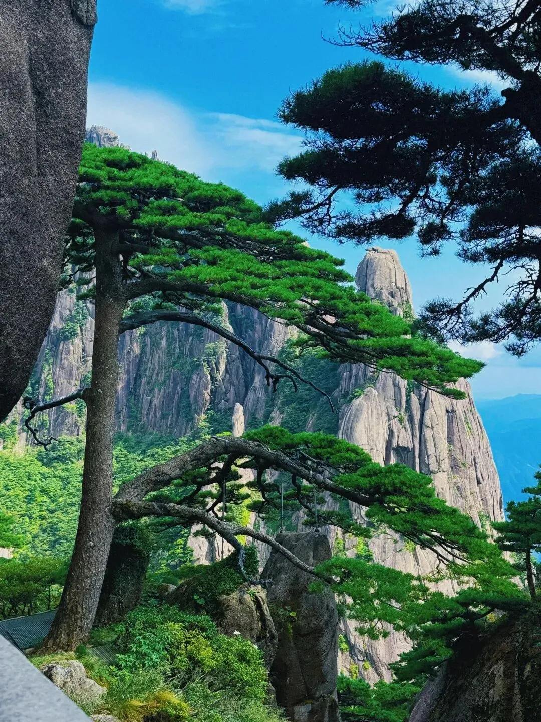 五一最佳旅行地,无需攻略,说走就走,心累了就去小住几天!!