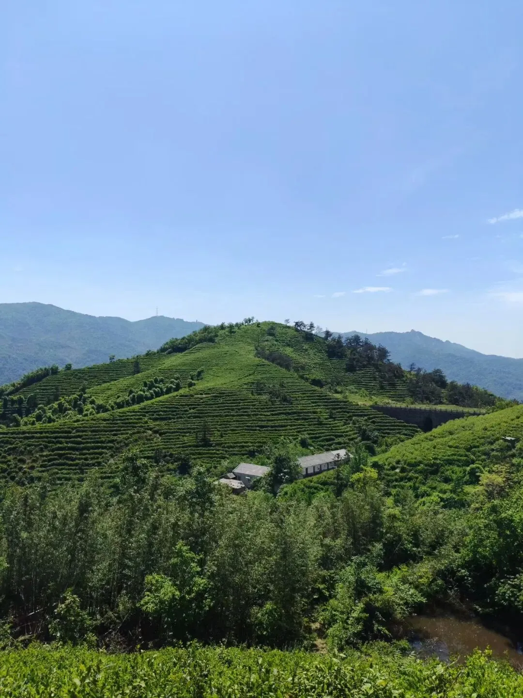 吃喝玩乐‖五一旅游最大的计划就是“没计划”