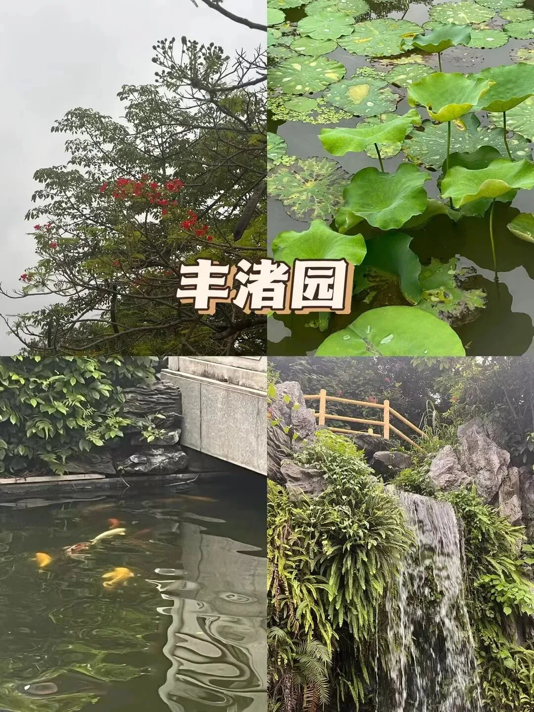 惠州一日游-美食景点详细攻略
