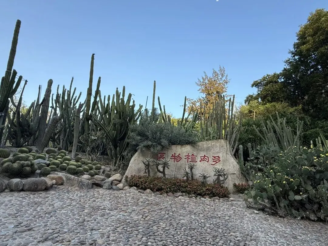 厦门旅行随想(附错峰版旅行攻略)