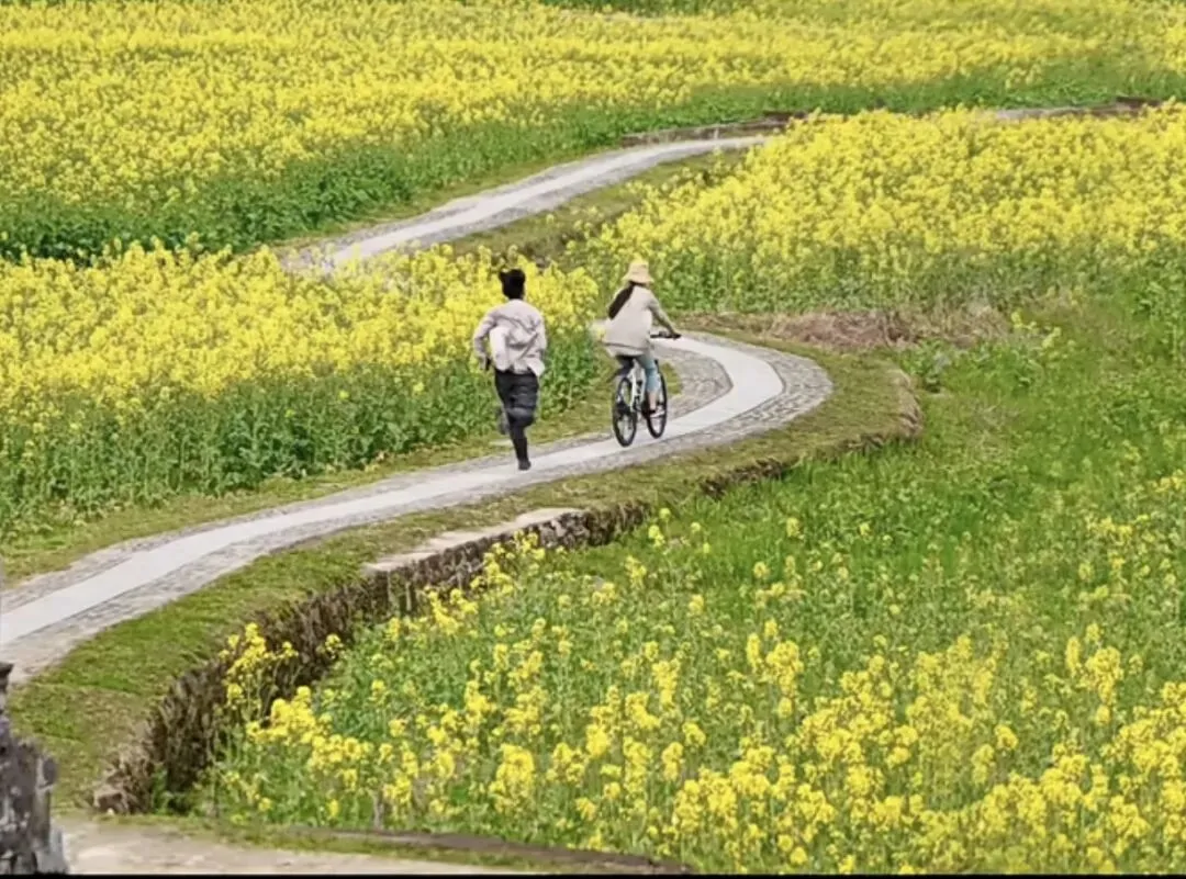 旅行摄影构图攻略:学会大风景小人物,随手拍出高级感