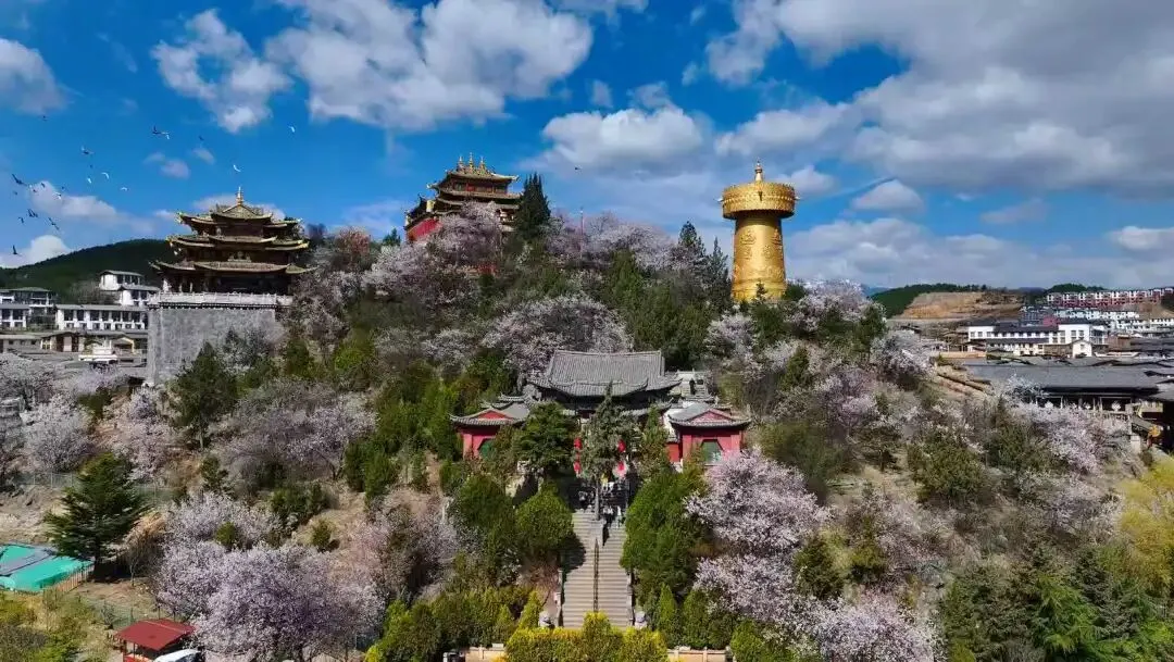 香格里拉旅游指南