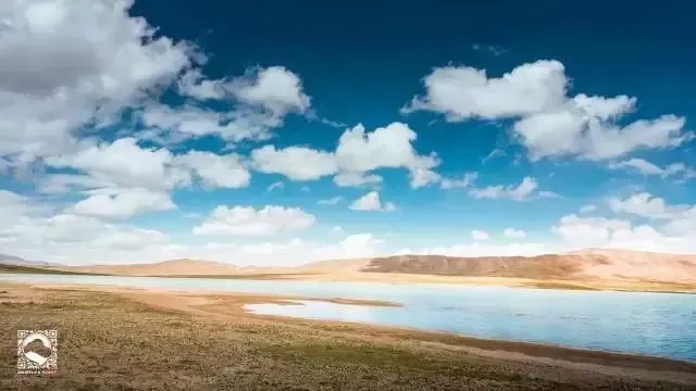 活捉一只自驾游达人!路线、摄影、物资准备都可以来问,抓紧时间,也许他马上又跑去无人区了|剁手门诊