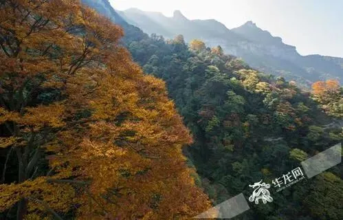 重庆旅游新规划来袭南川区或成黑马巫山县有望逆袭成赢家