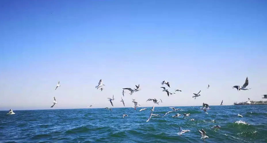 2026年北戴河旅游攻略:2026年,北戴河欢迎您,景区分布和简介,票价