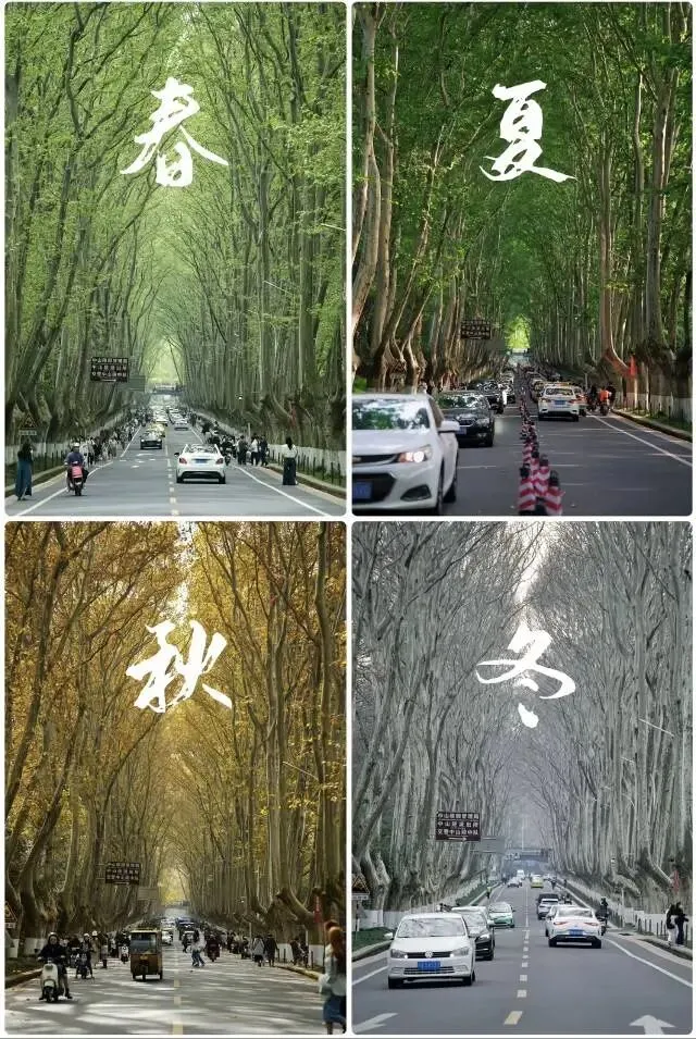 南京旅游攻略 | 吃住行游购娱,看这一篇就够了