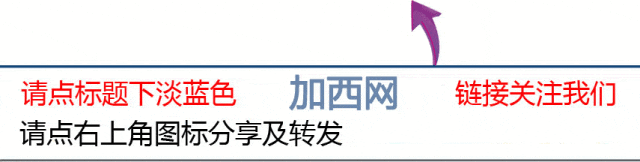 油价飙升 BC居民改变公路旅行计划