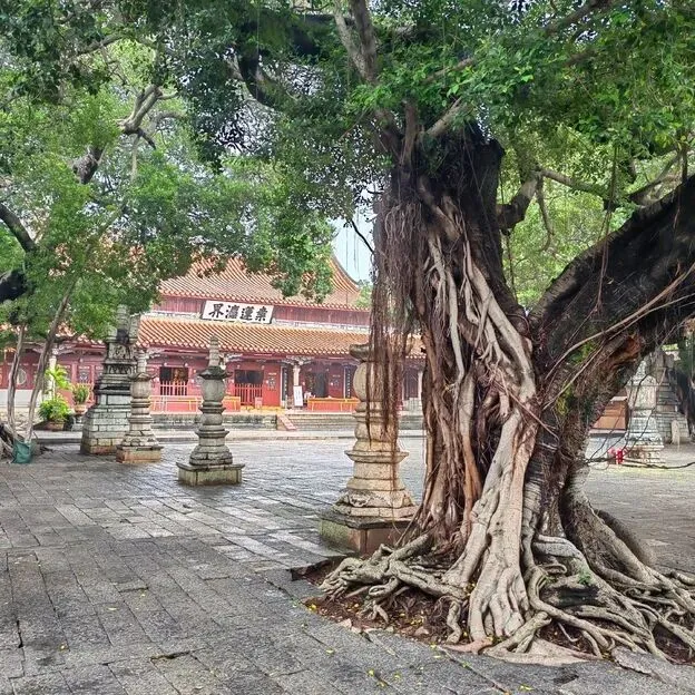 泉州鲤城古城精华旅行攻略