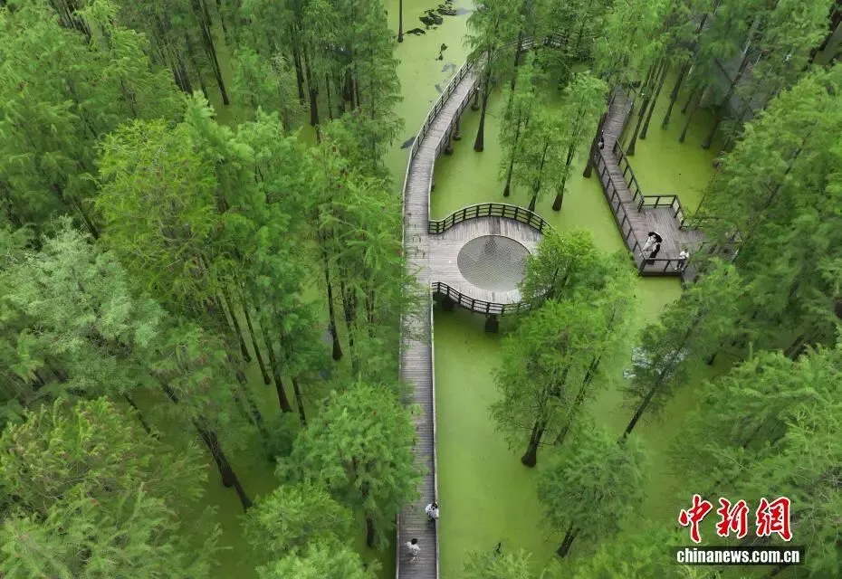 杭州旅游攻略之临安