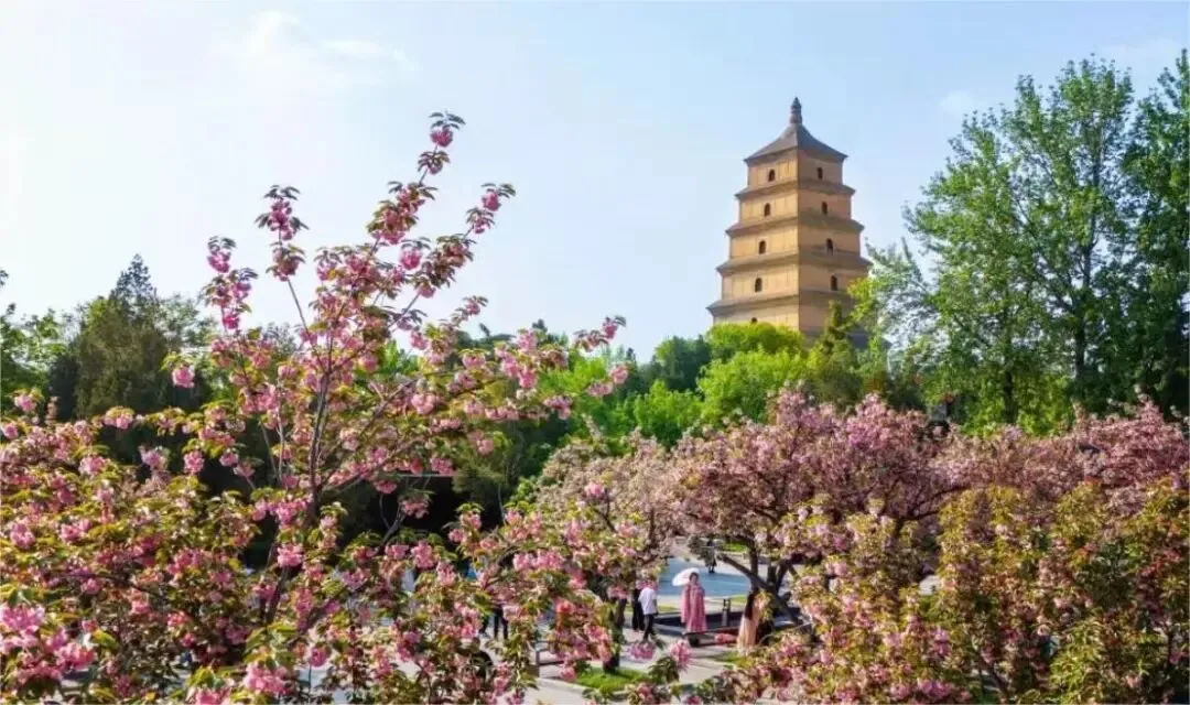 西安人文观光住宿指南 近景区出行更从容
